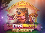 The Dog House Megaways